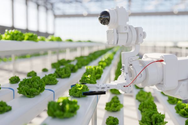 Smart Farming